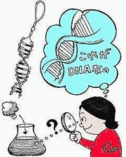 DNA