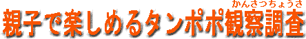 ^||ώ@
