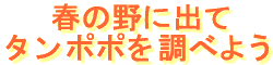 ^||׃S
